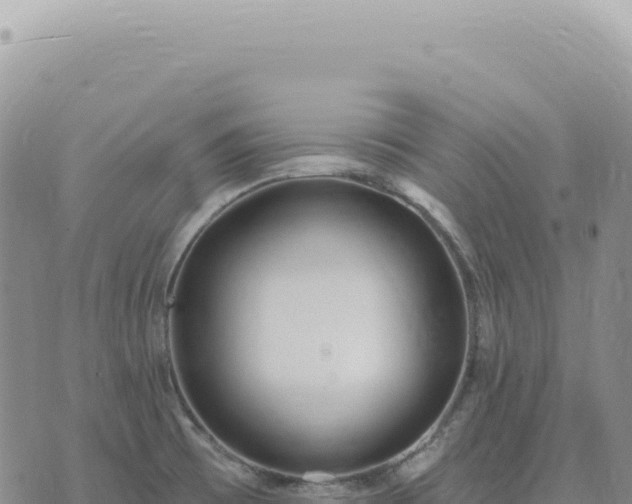 X0000073711473200608101826