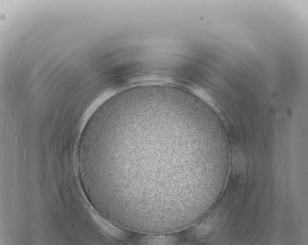 X0000073711474200608101826