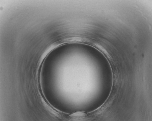 X0000073711475200608101826