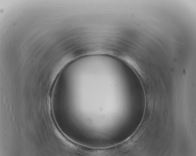 X0000073711476200608101826