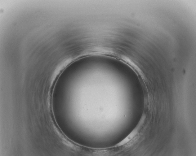 X0000073711477200608101826