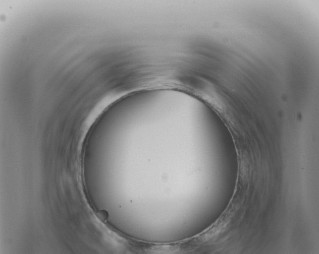 X0000073711478200608101826