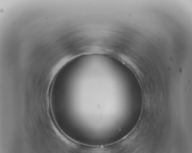 X0000073711479200608101826