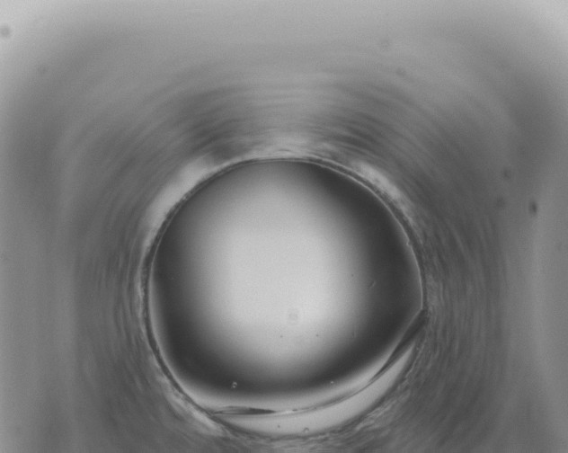 X0000073711480200608101826