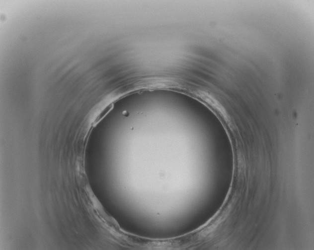 X0000073711481200608101826