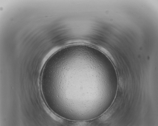 X0000073711482200608101826