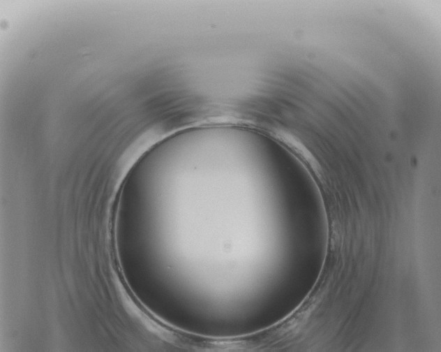 X0000073711483200608101826