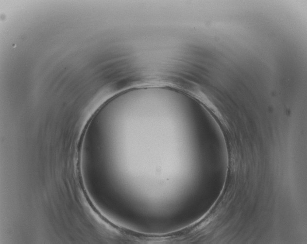 X0000073711484200608101826