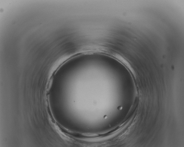 X0000073711485200608101826