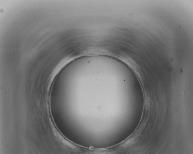 X0000073711486200608101826