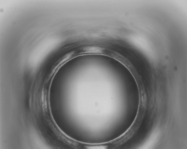 X0000073711487200608101826