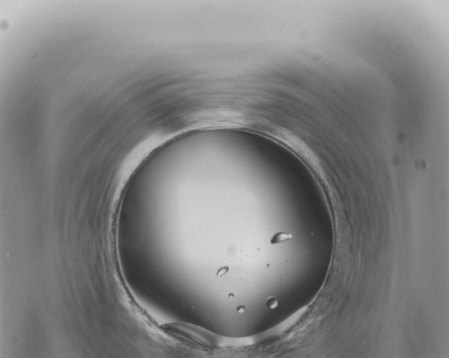 X0000073711488200608101826