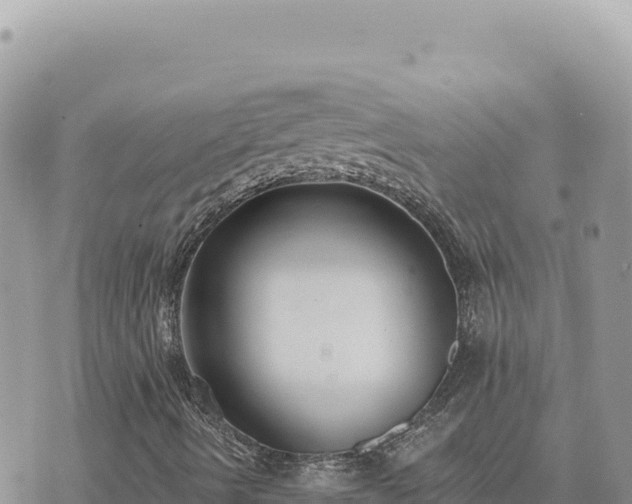 X0000073711490200608101825