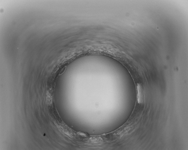 X0000073711491200608101825