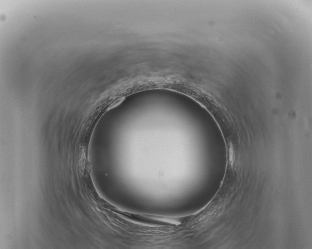 X0000073711492200608101825