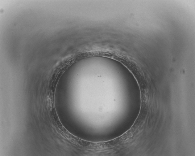 X0000073711493200608101825