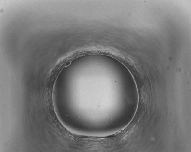 X0000073711494200608101825