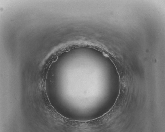 X0000073711495200608101825