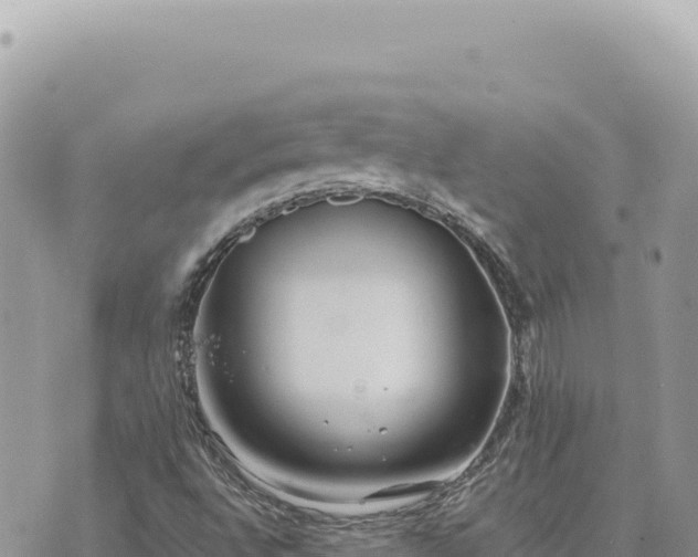 X0000073711496200608101825