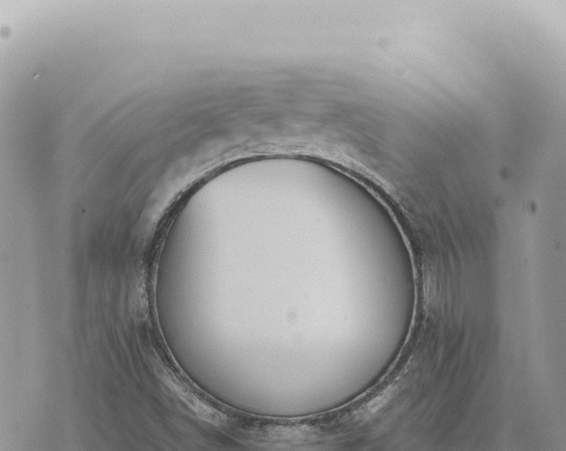 X0000073711498200608101825