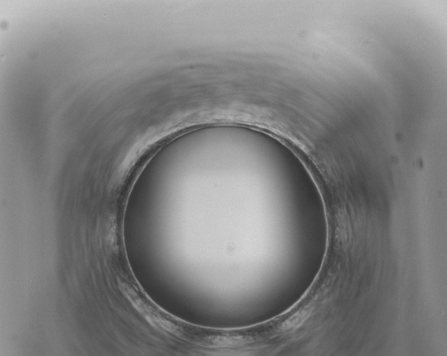 X0000073711499200608101825