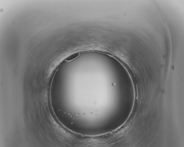 X0000073711500200608101825