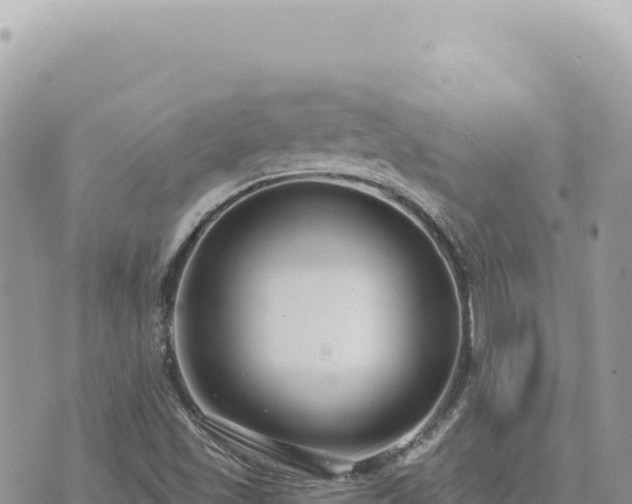 X0000073711501200608101825