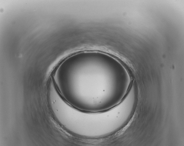 X0000073711502200608101825