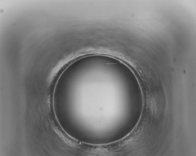 X0000073711503200608101826