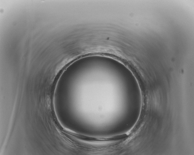 X0000073711505200608101826