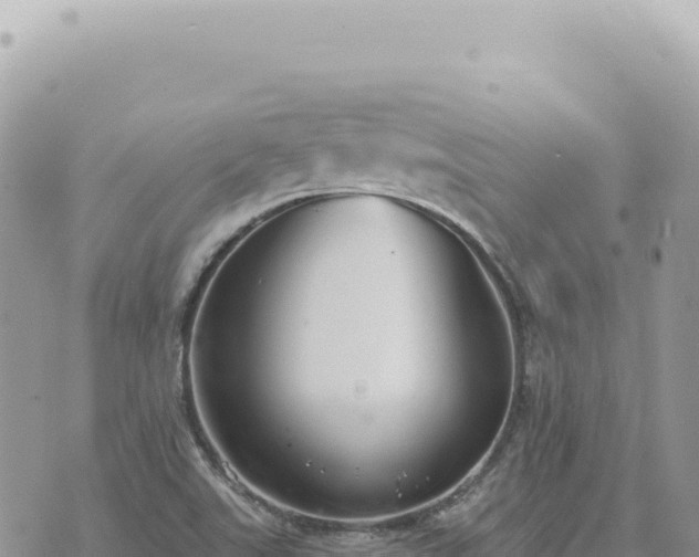 X0000073711507200608101826