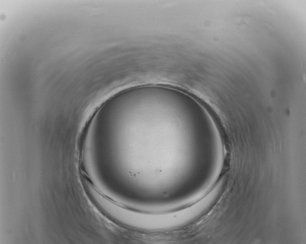 X0000073711508200608101826