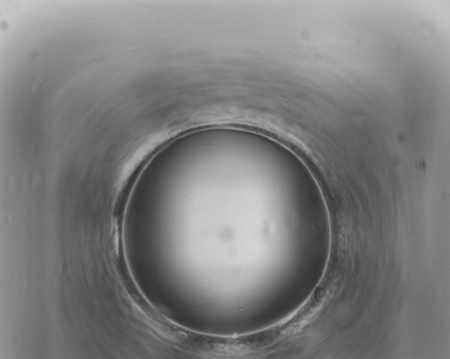 X0000073711509200608101826