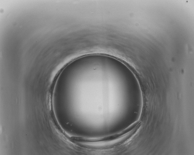 X0000073711510200608101826