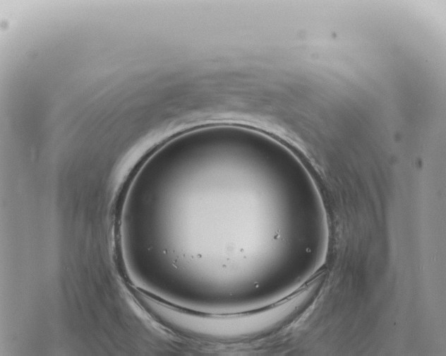 X0000073711511200608101826