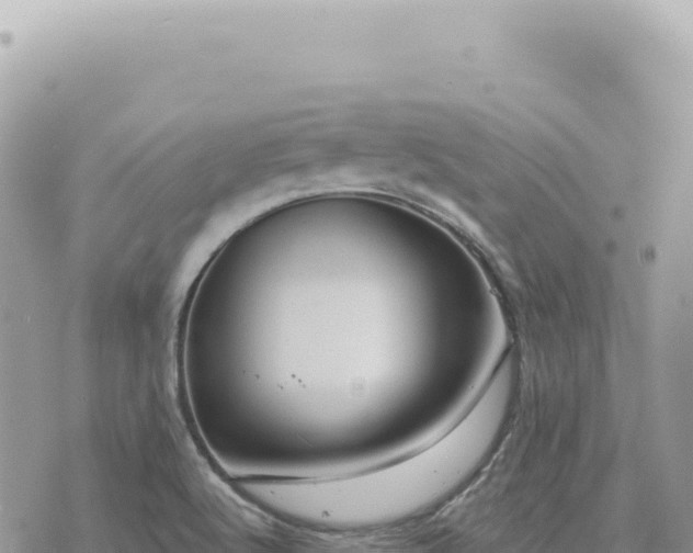 X0000073711512200608101826