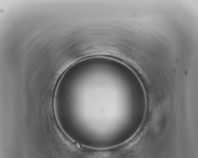 X0000073711513200608101826