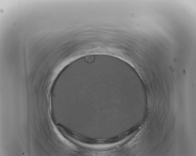 X0000073711515200608101826