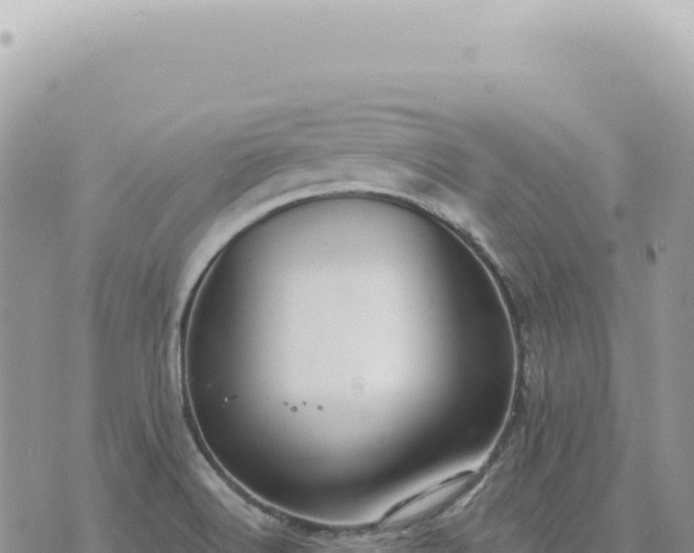 X0000073711516200608101826