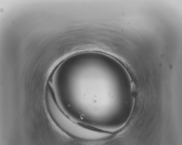 X0000073711518200608101826