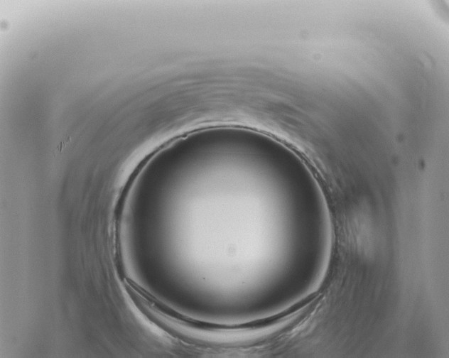 X0000073711519200608101826