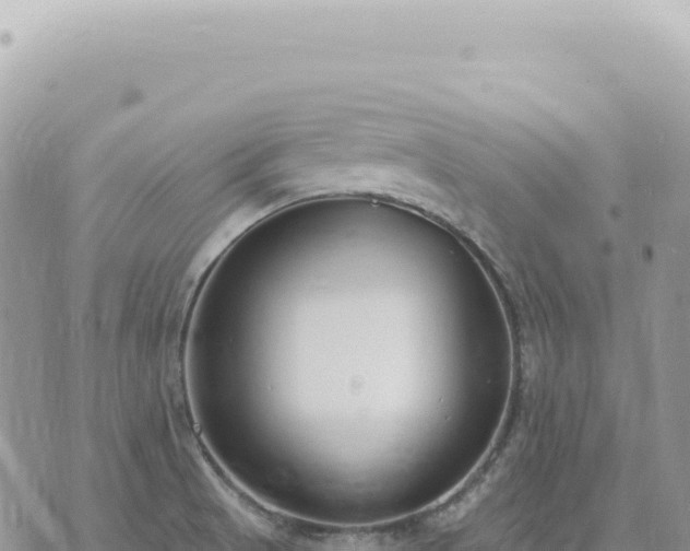 X0000073711521200608101826