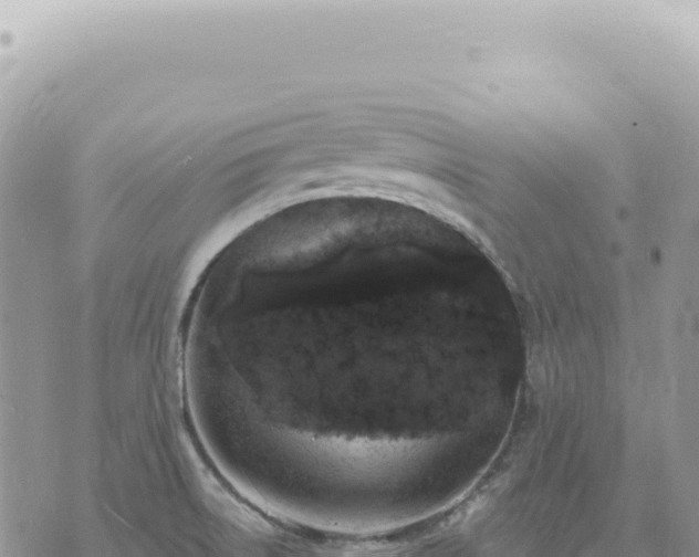 X0000073711522200608101826