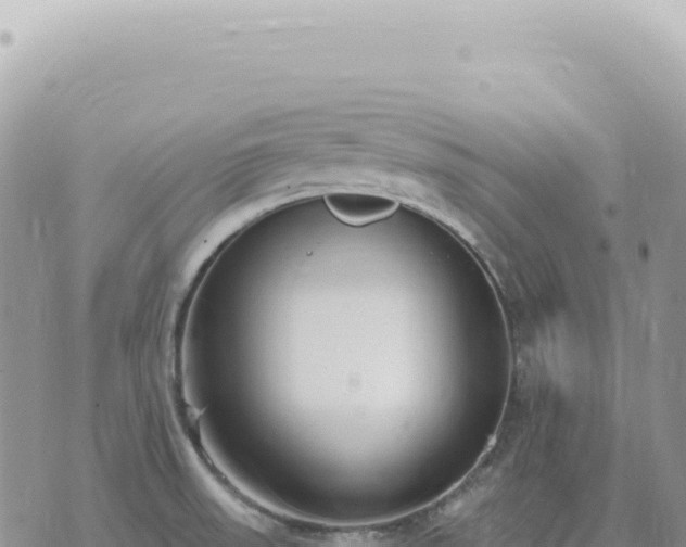 X0000073711523200608101826