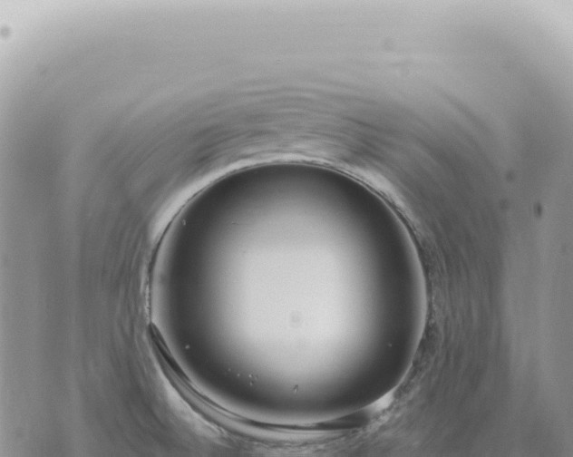 X0000073711524200608101826