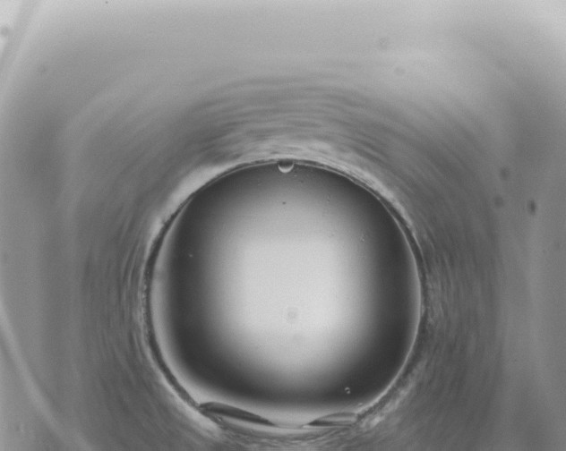 X0000073711525200608101826