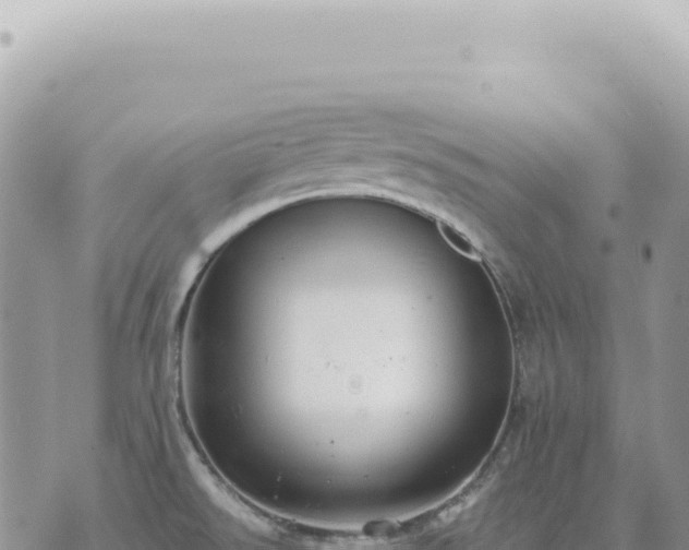 X0000073711526200608101826