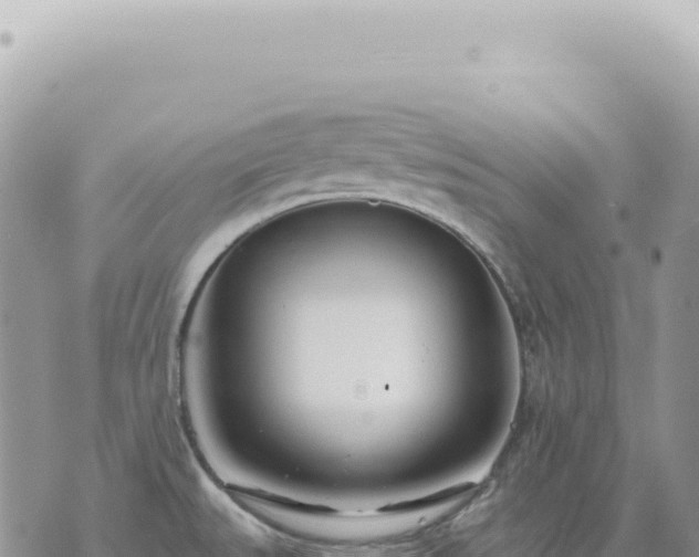 X0000073711527200608101826