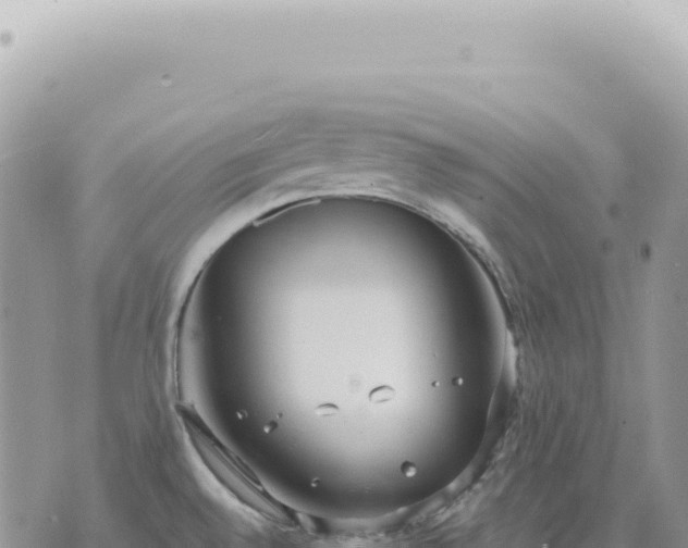 X0000073711528200608101826