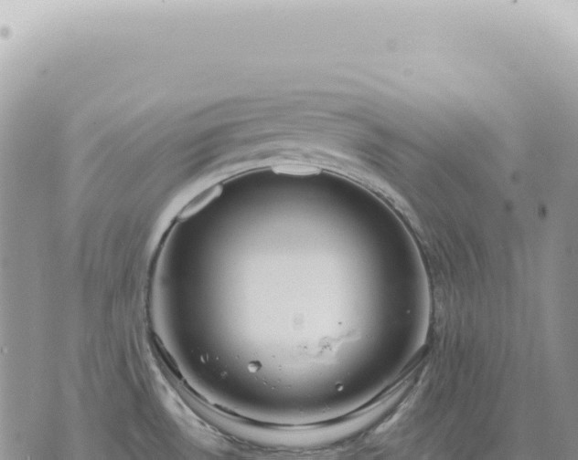 X0000073711530200608101826